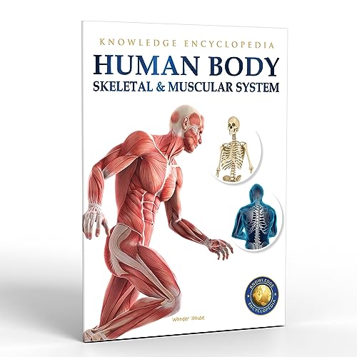 Human Body - Skeletal And Muscular System: Knowledge Encyclopedia For Children book cover