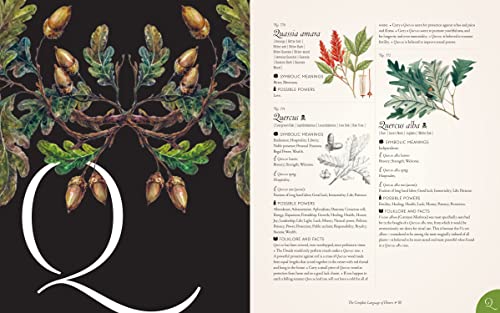 The Complete Language of Flowers