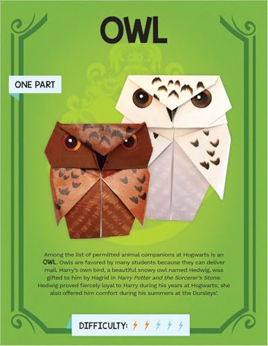 Harry Potter Origami: Fifteen Paper-Folding Projects Straight from the Wizarding World! (Harry Potter)