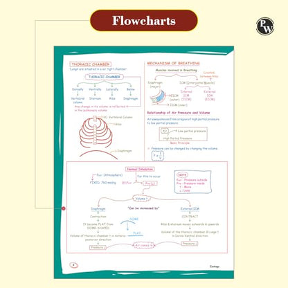 PW Zoology Med Easy For NEET and Board Exams 2024-25 | Flowcharts, Schematic Diagrams Samapti Sinha Mahapatra Handwritten Notes [Paperback] Samapti Sinha Mahapatra