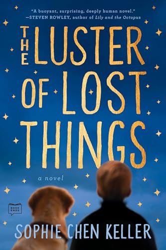 The Luster of Lost Things book cover