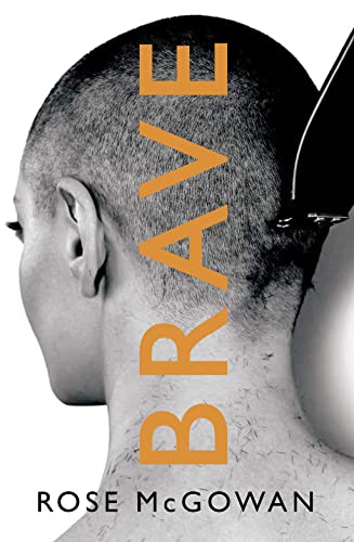 BRAVE book cover