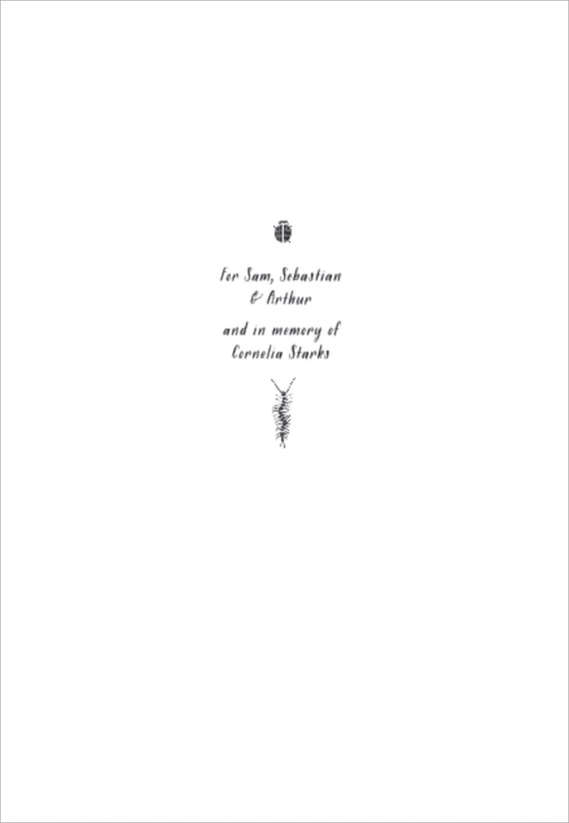 Beetle Queen (Beetle Boy #2)