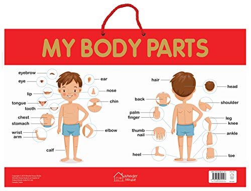 My Body Parts - Early Learning Educational Posters For Children: Perfect For Kindergarten, Nursery a