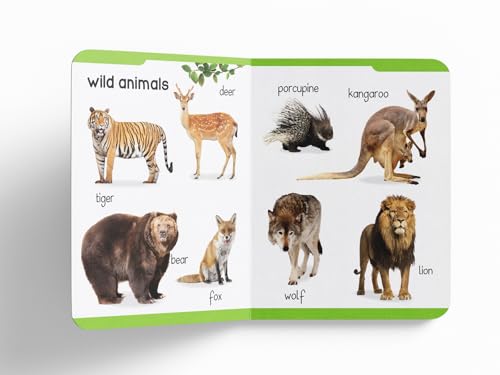 Early Learning Padded Board Book Of Animals For Kids | Ages 0–5 Years | Wild Animals | Farm Animals | Pets | Birds | Vocabulary Building | Bright Pictures | Toddlers | Preschoolers | Latest Edition