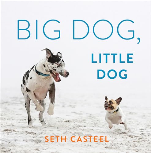 Big Dog, Little Dog book cover