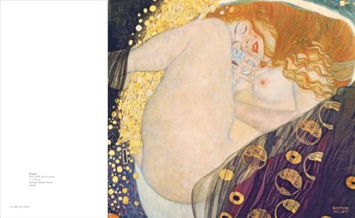 Klimt: The Bigger Picture