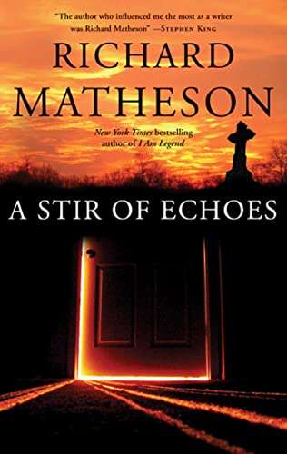 A STIR OF ECHOES book cover