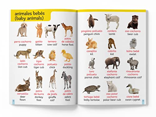 My First 1000 English-Espa?ol Words: Early Learning Bilingual Picture Book For Kids