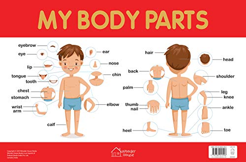 My Body Parts Chart - Early Learning Educational Chart For Kids: Perfect For Homeschooling, Kinderga book cover