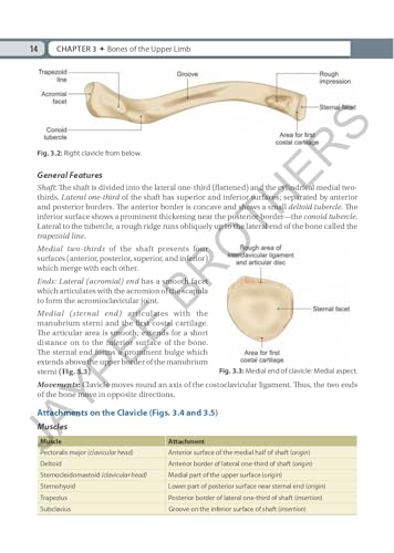Inderbir Singh's Textbook of Human Osteology with Atlas of Muscle Attachments, 5/E for MBBS 1st Year Students | CBME-aligned Bone-by-Bone Atlas with Muscle, Ligament Tables and Viva Questionnaire