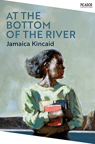 At the Bottom of the River book cover