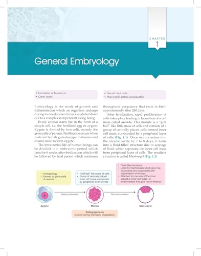 Essentials of Oral Biology 3ed. (PB 2026)