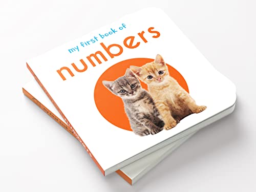My First Book Of Numbers | First Number Board Book For Babies, Toddlers & Preschoolers | Early Counting Book With Bright Pictures | Learn Numbers 1-10 | For Kids Ages 0-3 Years