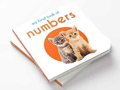 My First Book Of Numbers | First Number Board Book For Babies, Toddlers & Preschoolers | Early Counting Book With Bright Pictures | Learn Numbers 1-10 | For Kids Ages 0-3 Years