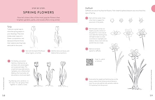 The Drawing Habit: A Step-by-Step Guide to Improving Your Drawing Skills and Cultivating a Lifelong Practice of Creativity - Includes Downloadable Practice Sheets!