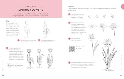 The Drawing Habit: A Step-by-Step Guide to Improving Your Drawing Skills and Cultivating a Lifelong Practice of Creativity - Includes Downloadable Practice Sheets!