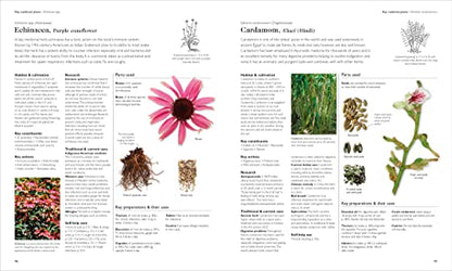 Encyclopedia of Herbal Medicine New Edition: 560 Herbs and Remedies for Common Ailments