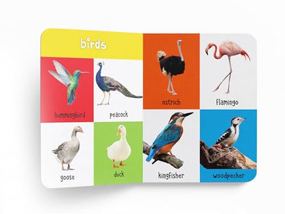 My First 100 Animals And Birds For Kids | Ages 0–5 Years | Board Book | Screen Free & Visual Learning | Wild & Farm Animals | Pets | Birds | Bright Picture Book | Vocabulary Building | Latest Edition
