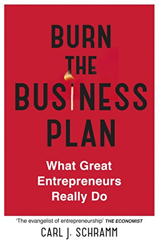 Burn The Business Plan: What Great Entrepreneurs Really Do book cover
