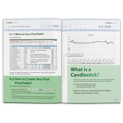The Practical Excel Handbook: Excel for Finance, Business & Data Analysis | Build Dashboards, Financial Models & Reports | Real-World Skills for Corporate Jobs | ZebraLearn