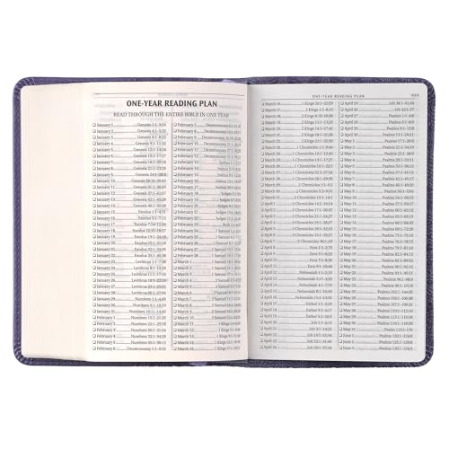 KJV Bible Mini Pocket Purple