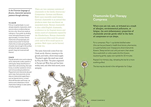Herbal Handbook: 50 Profiles in Words and Art from the Rare Book Collections of The New York Botanical Garden