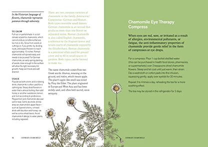 Herbal Handbook: 50 Profiles in Words and Art from the Rare Book Collections of The New York Botanical Garden
