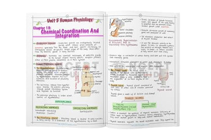 Neet Physics and Chemistry Formula Sheet + Biology Handwritten Short Notes