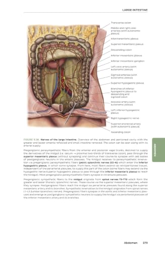 Kenhub Atlas of Human Anatomy