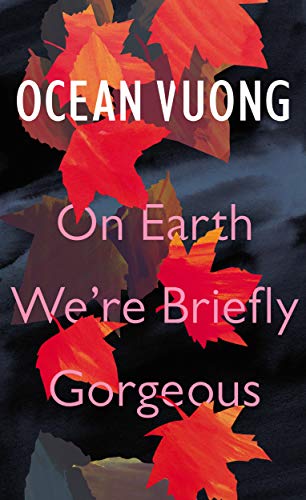 On Earth Were Briefly Gorgeous book cover