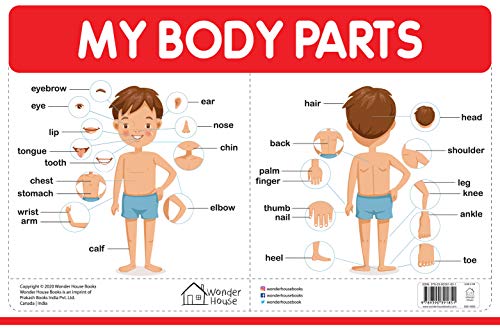 My Body Parts - My First Early Learning Wall Chart: For Preschool, Kindergarten, Nursery And Homesch book cover