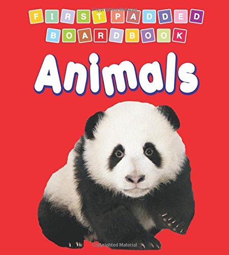 First Padded Board Book - Animals book cover