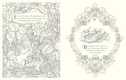 Brambly Hedge: Festive Colouring Book: A magically festive colouring book for children and adults alike packed with classic illustrations for all