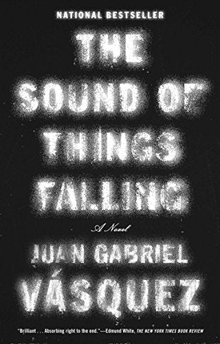The Sound of Things Falling book cover