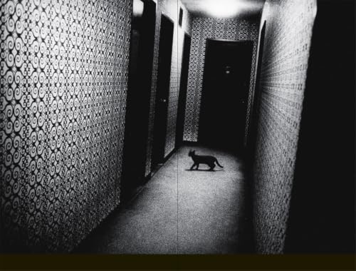 Daido Moriyama (Photofile)