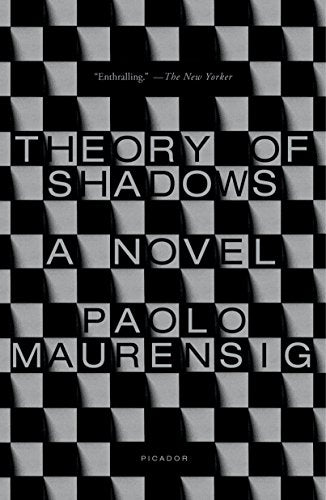 Theory of Shadows: A Novel book cover