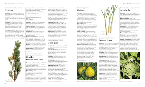 Encyclopedia of Herbal Medicine New Edition: 560 Herbs and Remedies for Common Ailments
