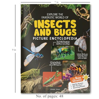 Explore Fantastic World of Insects And Bugs Picture Encyclopedia
