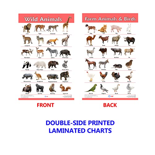 VCP Early Learning Educational Chart Set for Kids | Set of 12 LAMINATED Paper Charts (Printed on Both Sides) | Non-Tearable and Waterproof | Size : 31 x 46 cm | Alphabet, Numbers, Animals..