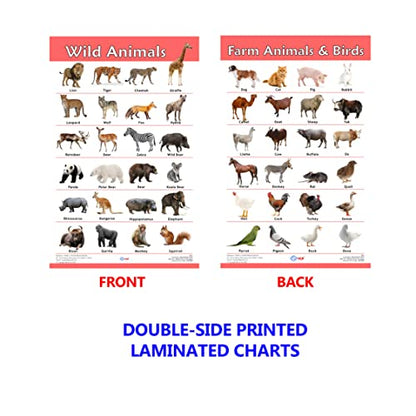 VCP Early Learning Educational Chart Set for Kids | Set of 12 LAMINATED Paper Charts (Printed on Both Sides) | Non-Tearable and Waterproof | Size : 31 x 46 cm | Alphabet, Numbers, Animals..