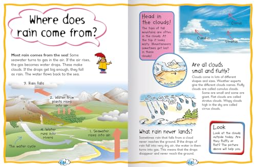 My First Book of Questions and Answers: A Non-Fiction Guide to Wildlife, Space, and Science for Children