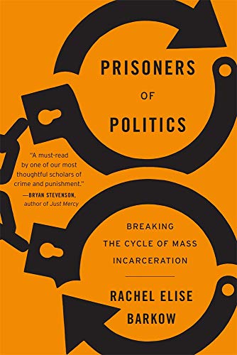 Prisoners Of Politics book cover