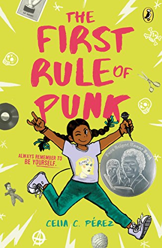 The First Rule of Punk book cover