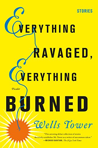 Everything Ravaged, Everything Burned: Stories book cover