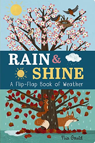 Rain and Shine: A Flip-Flap Book of Weather book cover