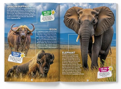 Explore Fantastic World of Animals Picture Encyclopedia