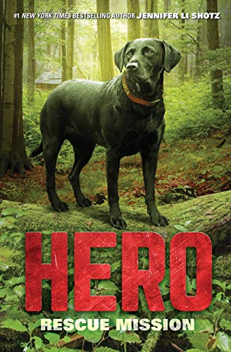 Hero: Rescue Mission book cover