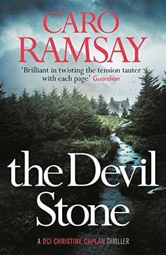 The Devil Stone book cover
