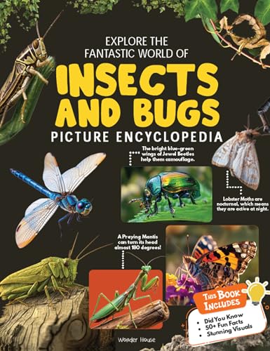 Explore Fantastic World of Insects And Bugs Picture Encyclopedia